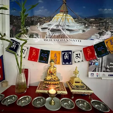 Himalayan * Zagreb